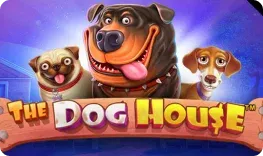 Slot7 – The Dog House